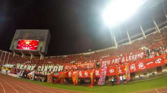 华体会官网新闻-“运动舞蹈：金牛区城北体育馆让你看到的不仅仅是舞蹈，更是灵魂与身体的交响”  第3张